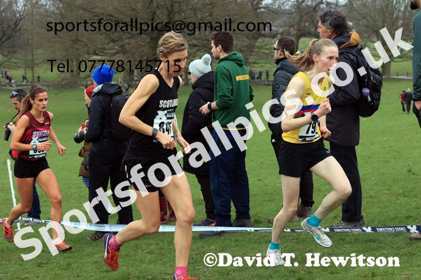 Senior Women, 2024 CAU Inter Counties Cross Country Champs., Wollaton Park, Nottingham. Photo: David T. Hewitson/Sports for All Pics